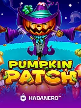 Pumpkin Patch